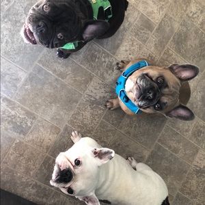 Meet your Posher, Cassie